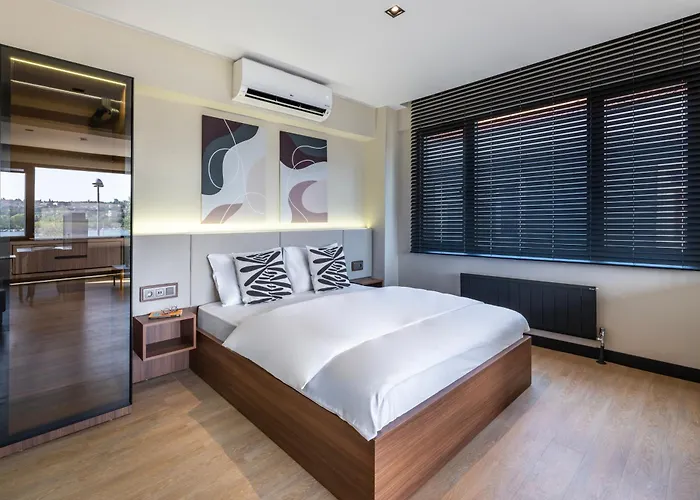 Historic34 Modern Cozy Golden Horn 伊斯坦布尔